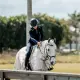 Horseware Flyrider insect rijdeken